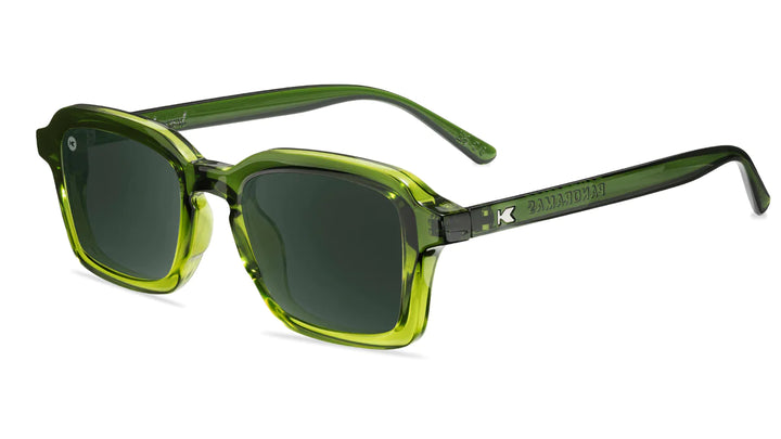 PANORÁMICAS POLARIZADAS