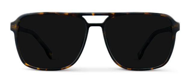 1031 Harvey Polarized