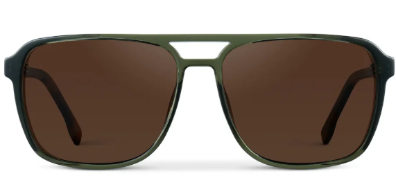 1031 Harvey Polarized