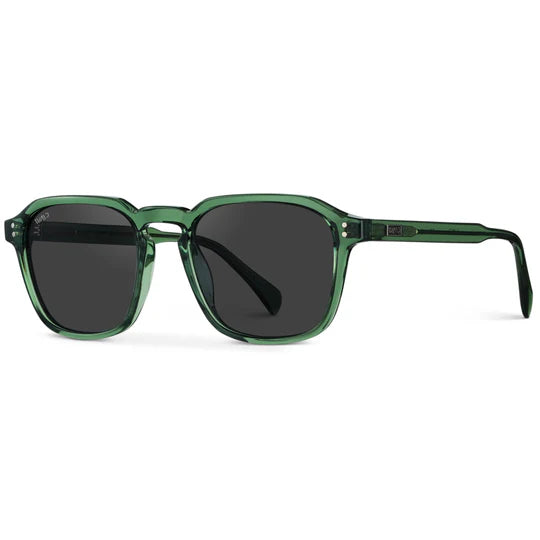 1073 Francis Polarized
