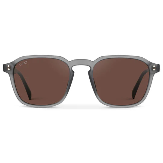 1073 Francis Polarized