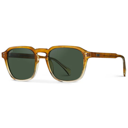 1073 Francis Polarized