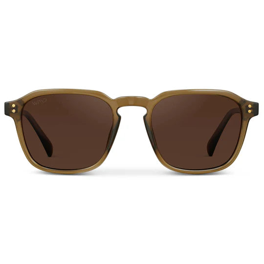 1073 Francis Polarized