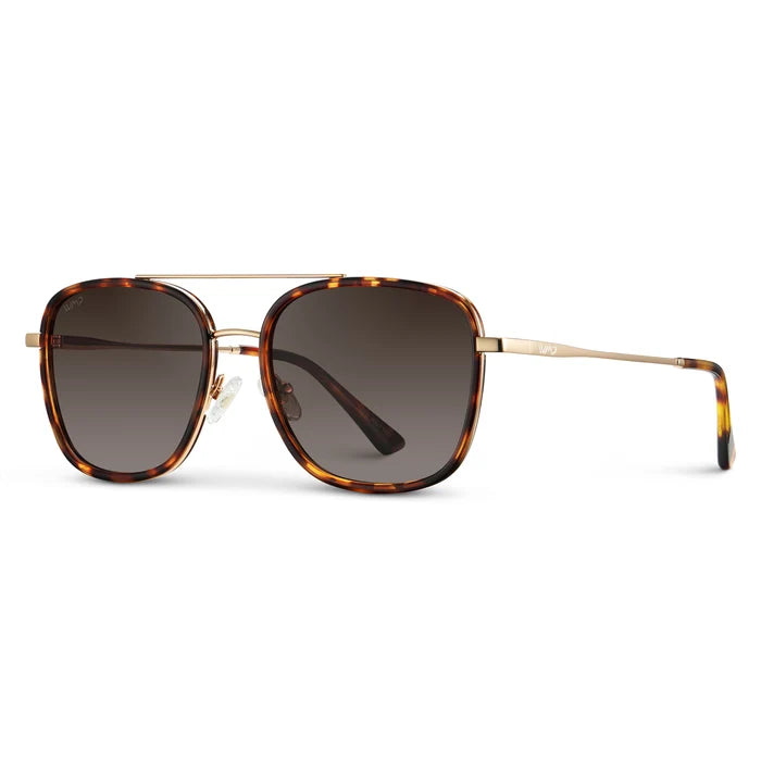 1070 Gia Polarized