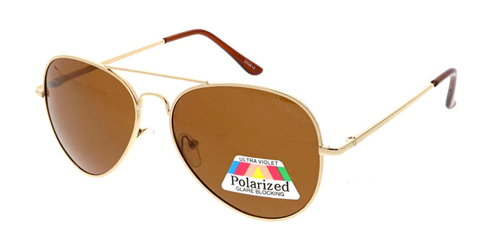 POLM3007