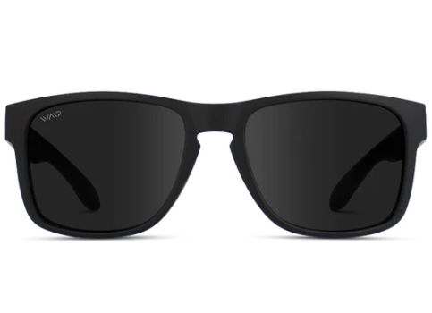 1004 Dorian Polarized