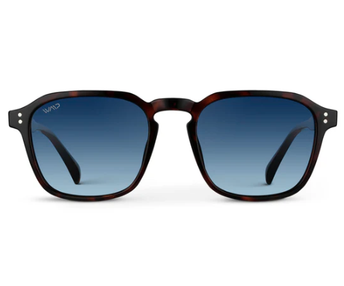 1073 Francis Polarized