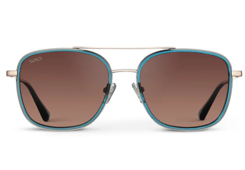 1070 Gia Polarized