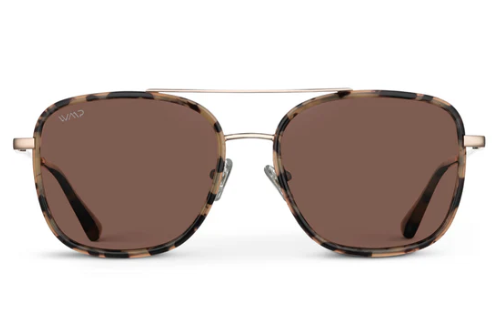 1070 Gia Polarized
