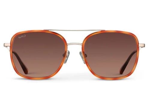 1070 Gia Polarized