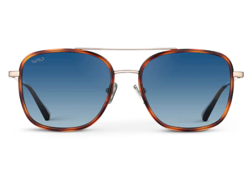 1070 Gia Polarized