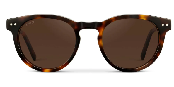 1039 Tate Polarized