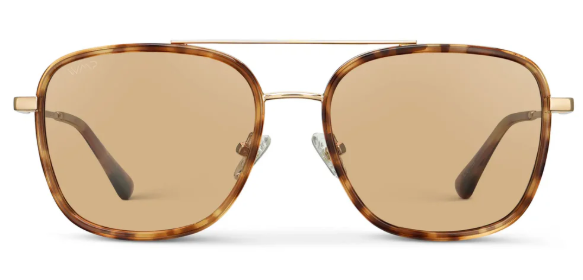 1070 Gia Polarized