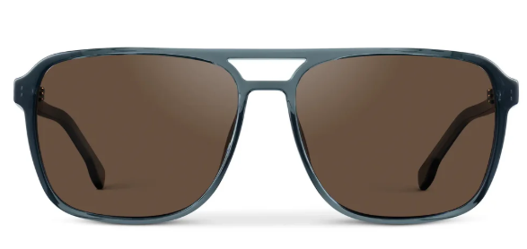 1031 Harvey Polarized
