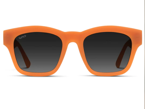 1061 Sedona Polarized